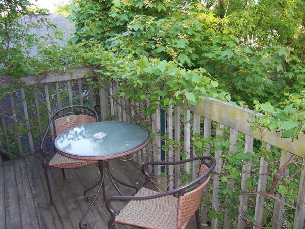 Balcony In The Trees