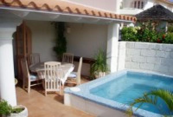 Jacuzzi Plunge Pool