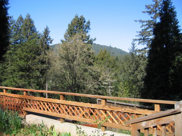 View from the Deck