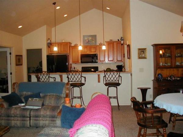 Living and Kitchen Area