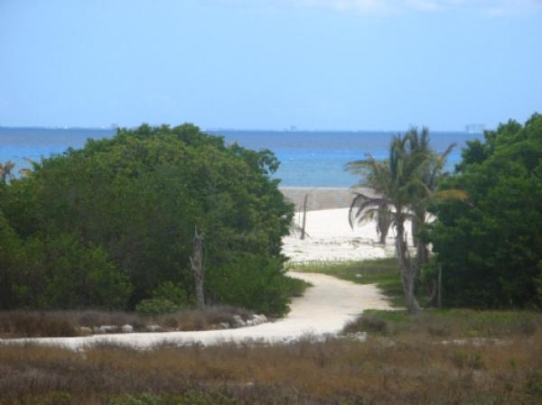 Beach View & Ocean View