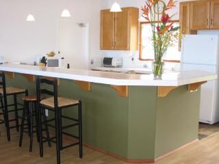 Kitchen and breakfast bar