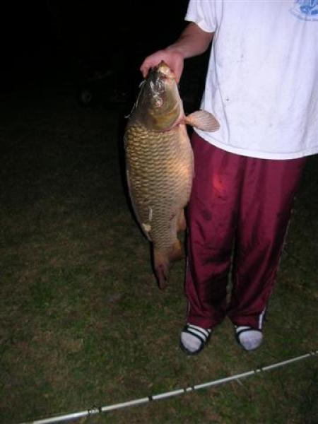 Fish