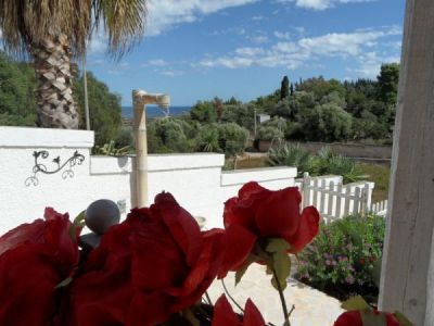 Garden views