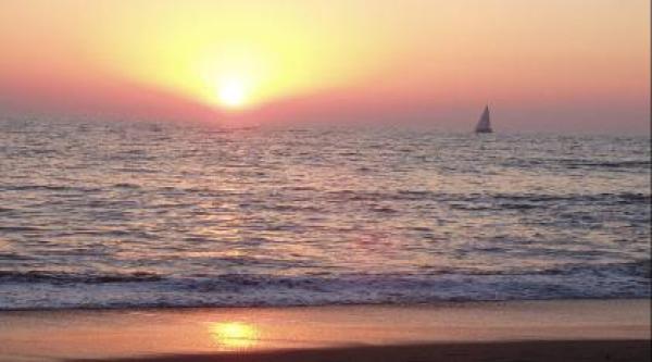 Fabulous Sunset