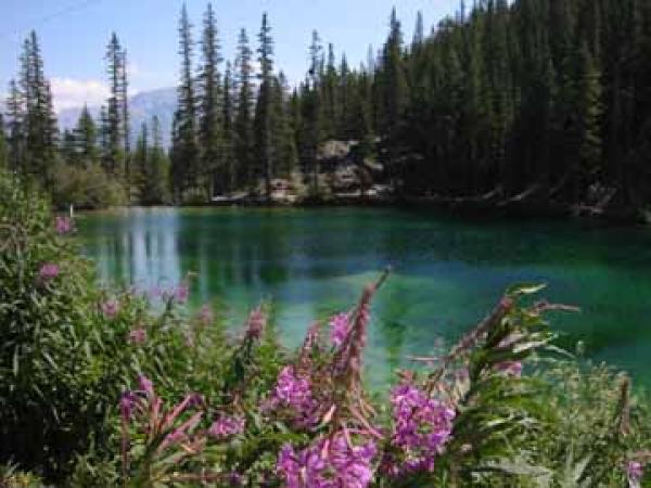 Mountan View from a Popular Walking Trail