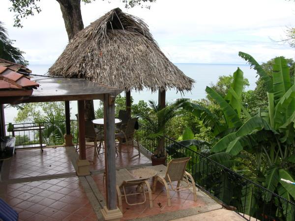 Great place to read a book or pick bananas