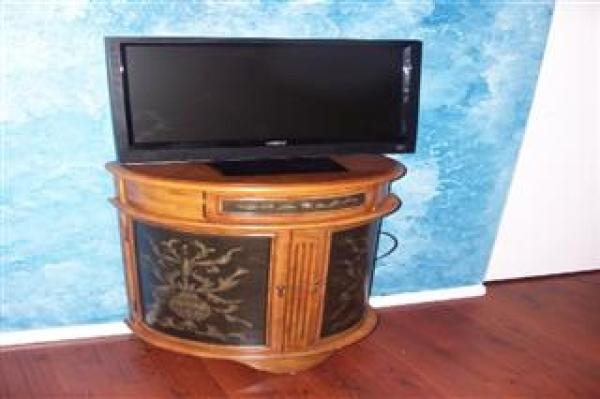 Television