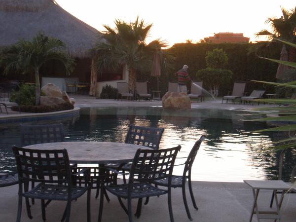 Oasis garden wiht pool