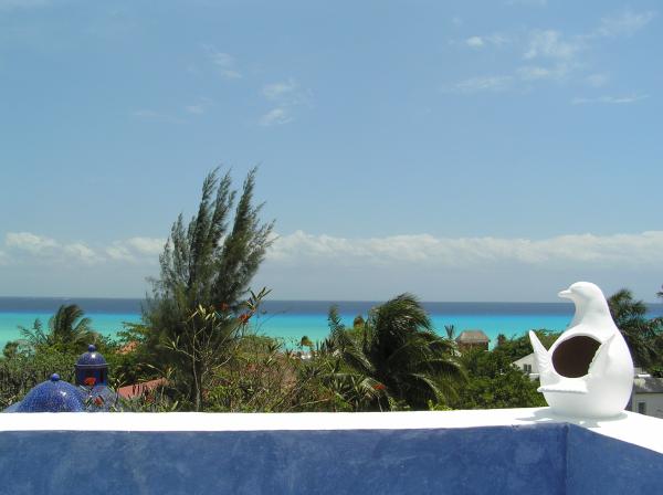 180 degree view of the Caribbean!