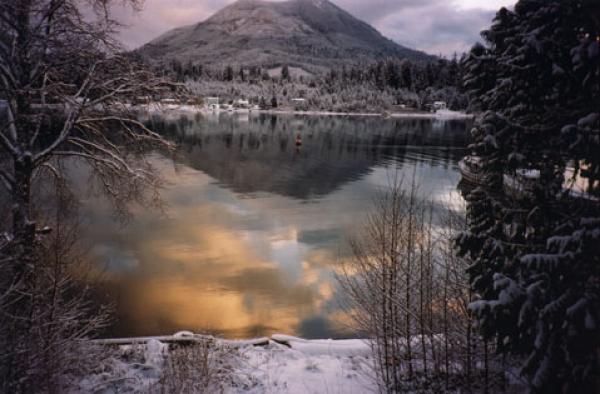 Winter view