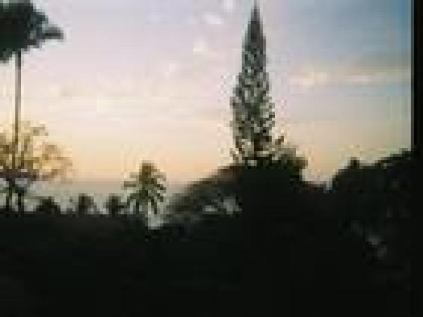 Evening View