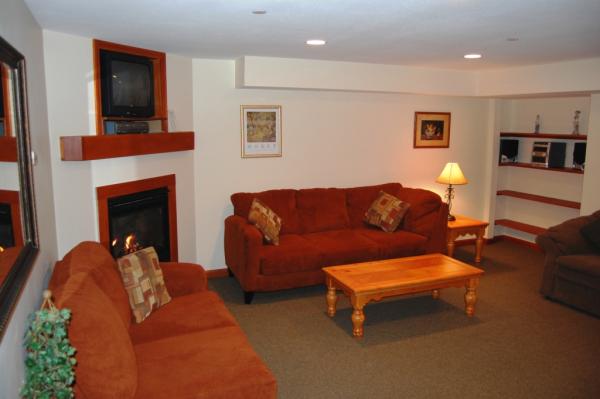 Lower Suite Sitting with Gaslogfire + Kitchenette