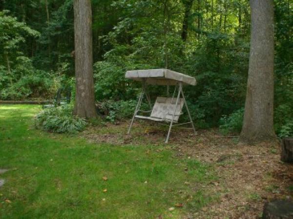 Back Yard Swing for Two