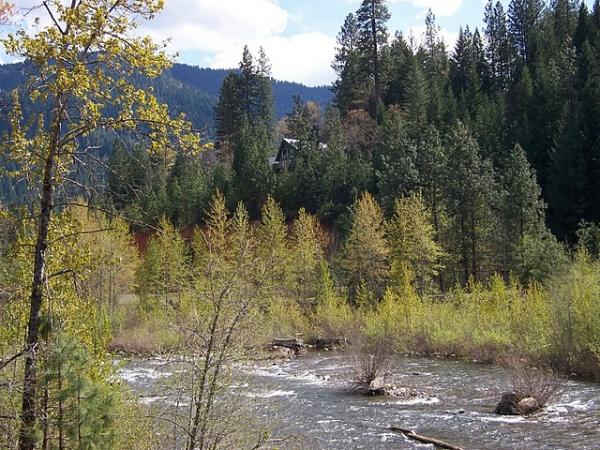 River View