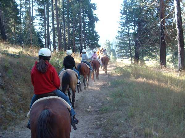 Horseback riding - short walk from home