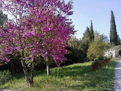 Il Rond&ograve; Villa in Spring