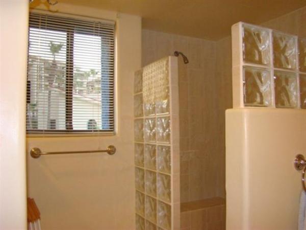 The Bathroom has a walk in shower
