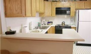 Breckenridge, Colorado, Vacation Rental Condo