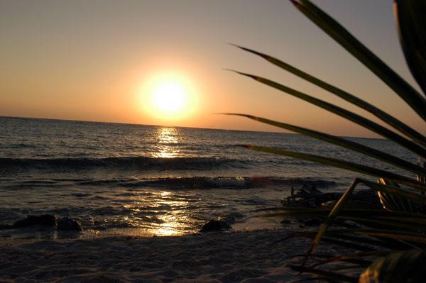 Sunrise