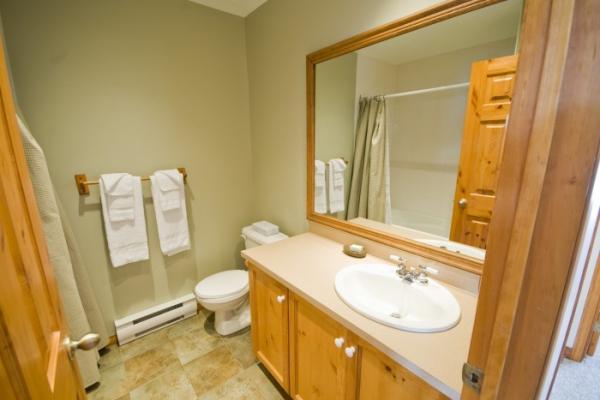 Second bathroom with bath tub and shower combinati