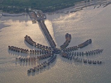 The Palm from above