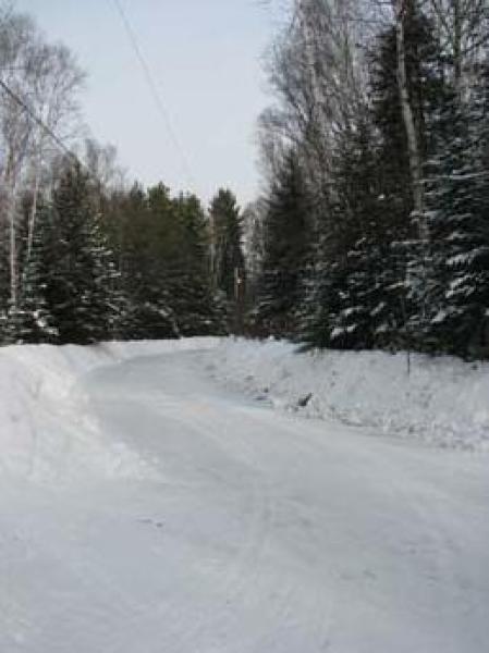 Area Surrounding the Chalet
