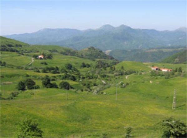 Countryside outskirts Bedonia 