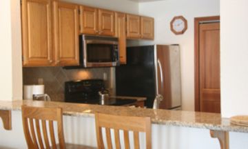 Telluride, Colorado, Vacation Rental Condo