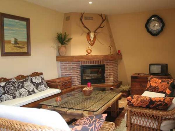 Living Area with Fireplace