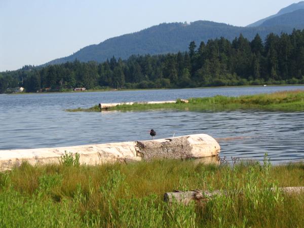 Estuary waterfrontage on property