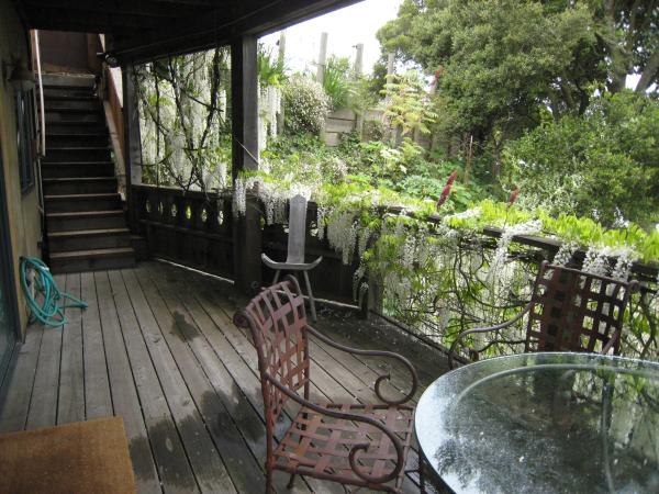 deck & wisteria