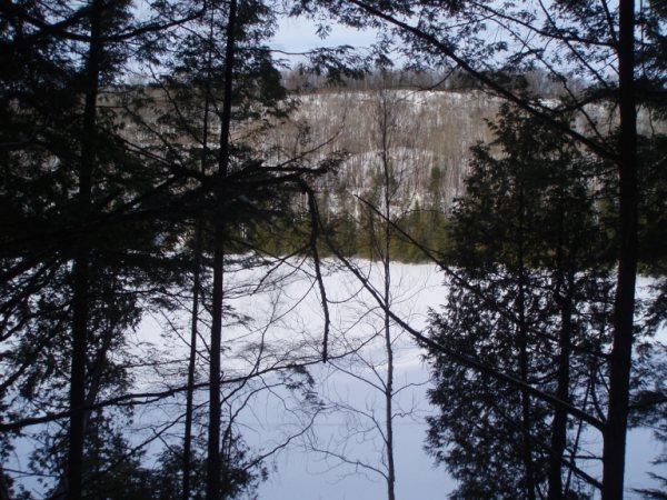 View in Winter