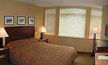 Whistler, British Columbia, Vacation Rental Condo