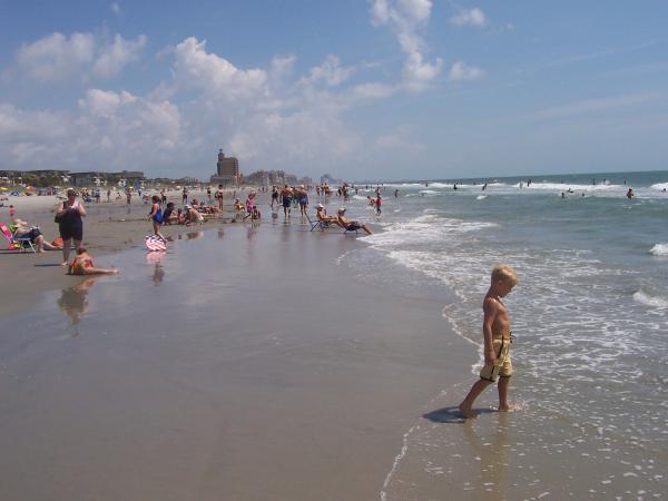 Beach, Looking North