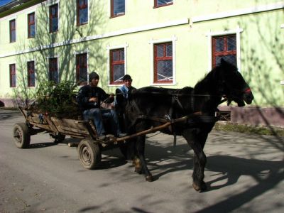 Horse and Cart