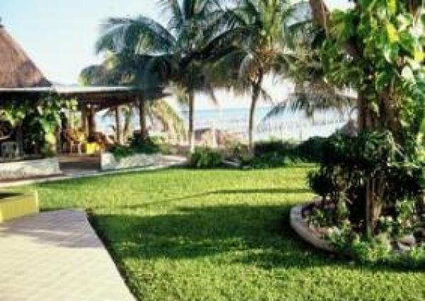 Front Garden View