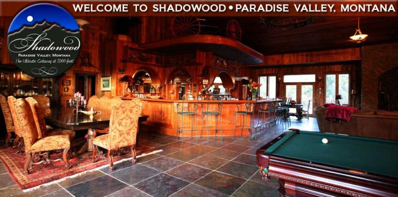 Bar in Greatroom
