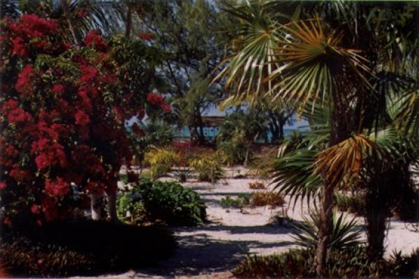 Garden Walk to Beach Hut