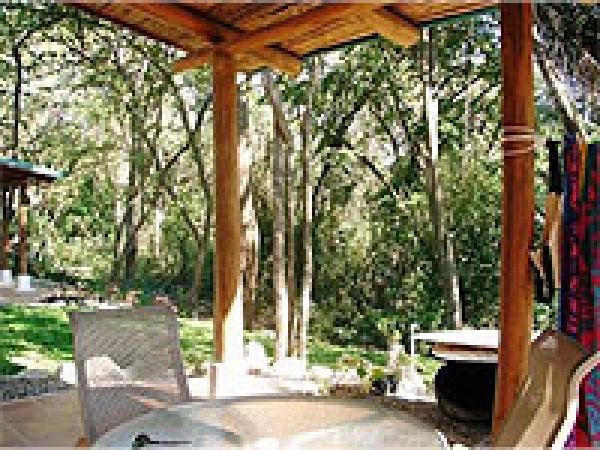 Patio Area