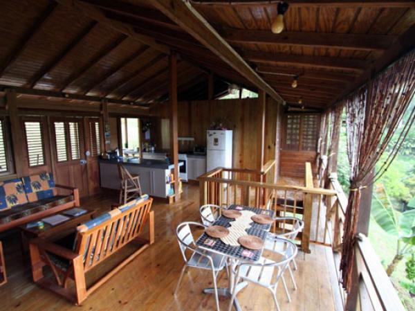 Tropical on the inside