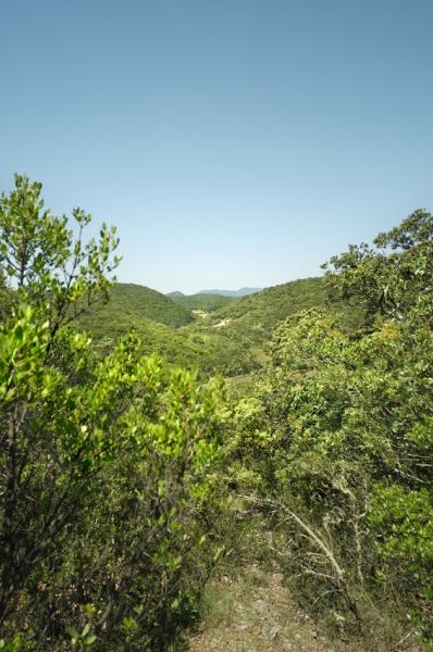 view of the mountains from the hill opposite