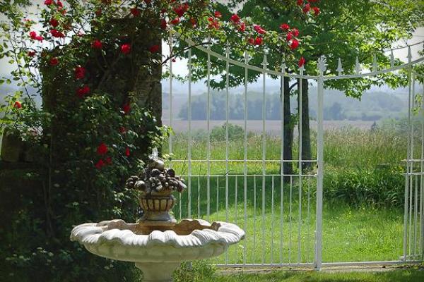 Fountain View in Garden