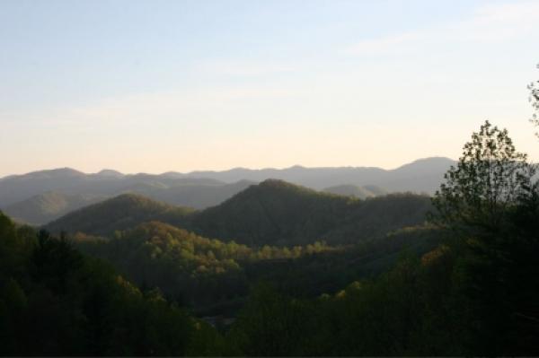 View from Estate