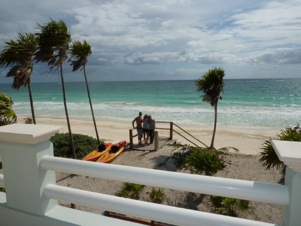 View from the terrace