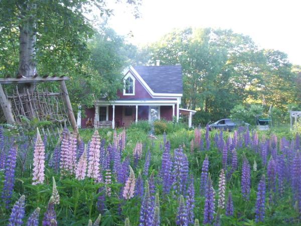 House View From Garden