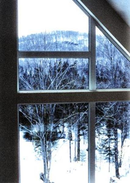 Window View  From the Foyer