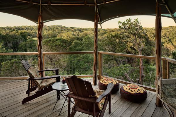 Amidst the Treetops.