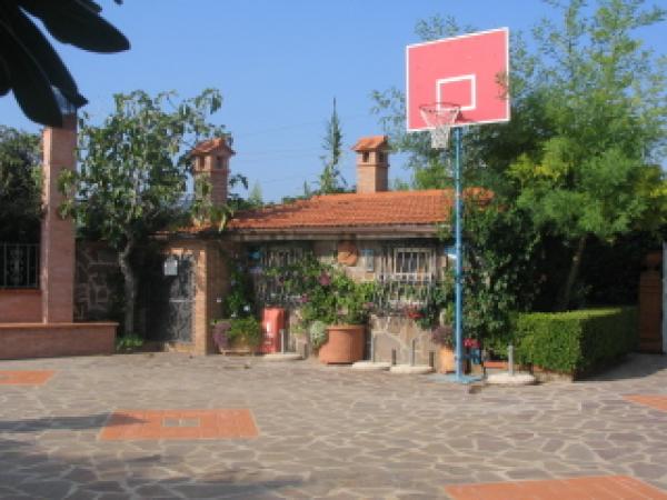 Terrace with Basket