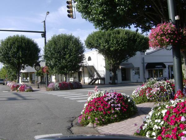 Flowers in downtown Fairhope 